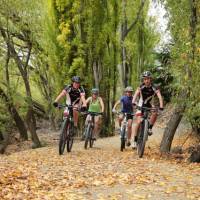 Trees turning for Autumn on the river track | James Jubb